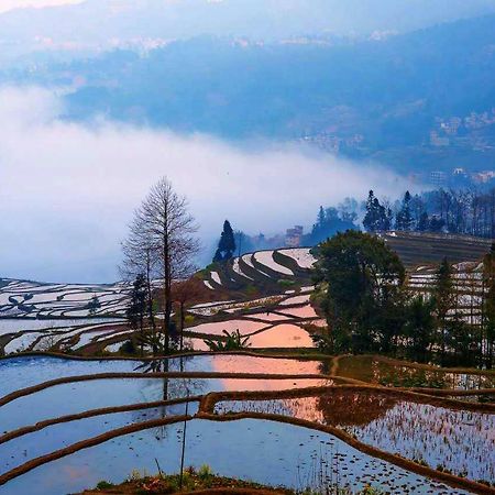 Green Hostel & Sunny Guesthouse Yuanyang  Luaran gambar