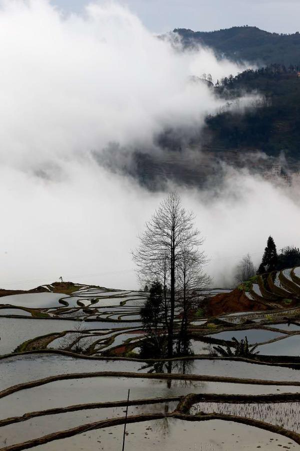 Green Hostel & Sunny Guesthouse Yuanyang  Luaran gambar