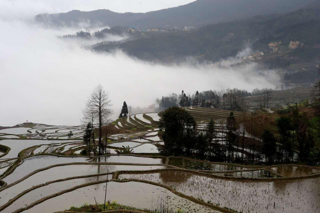Green Hostel & Sunny Guesthouse Yuanyang  Luaran gambar